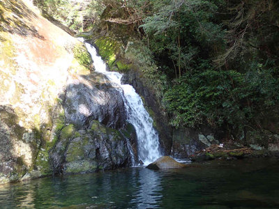 P4020071.jpg (95.59 KiB) 閲覧された回数 7697 回 大きな釜を持つ10m滝