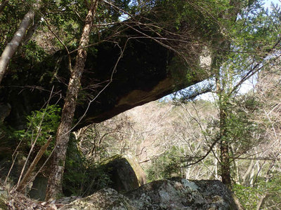 P4020063.jpg (125.1 KiB) 閲覧された回数 7698 回 木に支えられた大岩