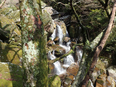 P4020057.jpg (130.01 KiB) 閲覧された回数 7698 回 大岩ゴーロの岩間滝