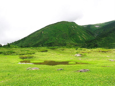 ● 南竜テンバ、地糖もある好いテンバだよ。