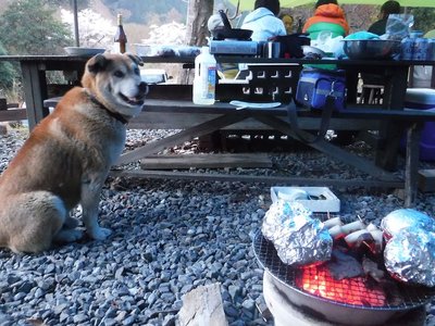 20170415-14.jpg (175.84 KiB) 閲覧された回数 15895 回 ハリーさん、じゃがいものホイル焼を見る