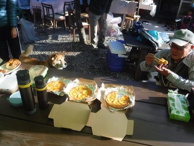 unnamed (6).jpg (70.47 KiB) 閲覧された回数 24641 回 オレンジタルト