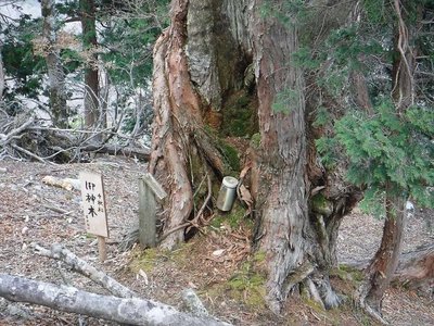 unnamed (4).jpg (150.3 KiB) 閲覧された回数 24637 回 完成しました。立派。