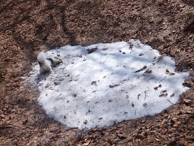 ゴロゴロしてクールダウン