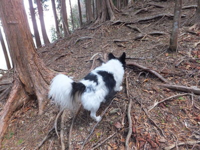 艶めかしいヒップ