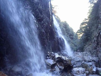 P4230089.jpg (57.01 KiB) 閲覧された回数 4117 回 小木森滝下段