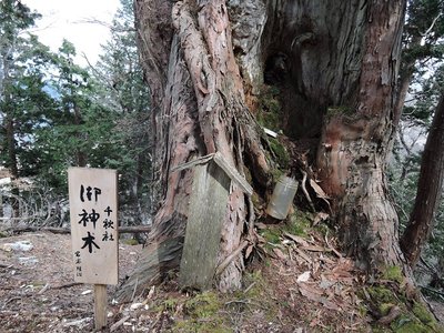 稜線側からみたところ