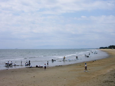 海に遊ぶも好いよね