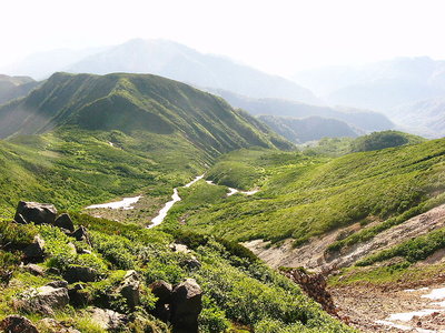 ● この斜面は大白川へ、スキーヤーはほっとけないだろうサ