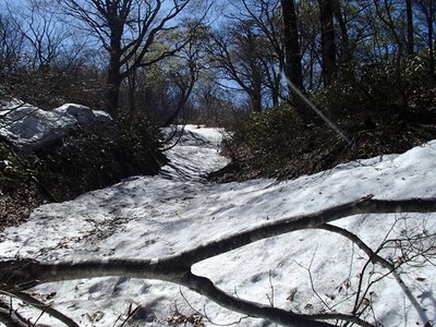 s-P5048092.jpg (159.18 KiB) 閲覧された回数 5166 回 手前の倒木さえ無かったら、このすんばらしい雰囲気は伝わるかも (-_-;)