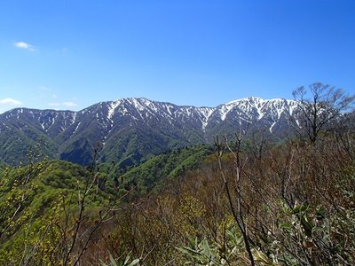 s-P5048146.jpg (120.85 KiB) 閲覧された回数 4706 回 三十分ほどの昼食休憩で再び復路へと踏み出した。