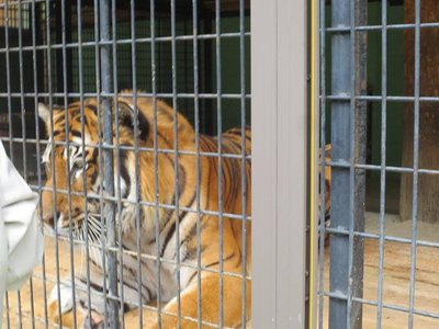 大内山動物園にて