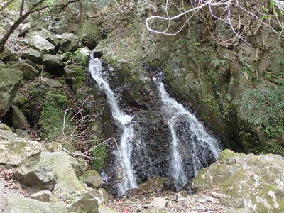 P5050077.jpg (117.84 KiB) 閲覧された回数 5868 回 キララ谷F1