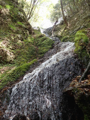 P5050064.jpg (134.21 KiB) 閲覧された回数 6503 回 左俣の斜滝