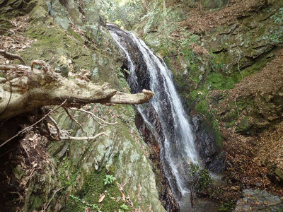 P5050050.jpg (122 KiB) 閲覧された回数 6504 回 10m滝