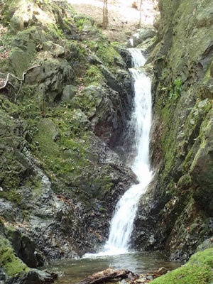 P5050037.jpg (107.31 KiB) 閲覧された回数 6504 回 2段12m滝