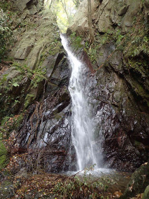 P5050027.jpg (120.65 KiB) 閲覧された回数 6201 回 10m滝