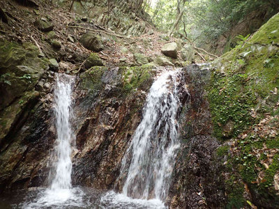 P5050021.jpg (124.62 KiB) 閲覧された回数 6503 回 3m二条滝