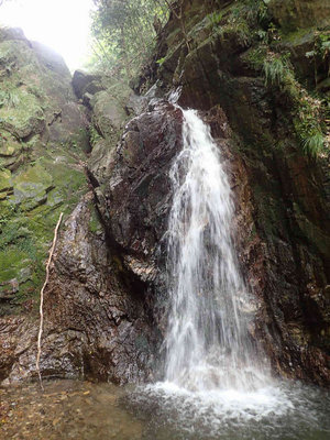 P5050018.jpg (100.13 KiB) 閲覧された回数 6503 回 7m滝