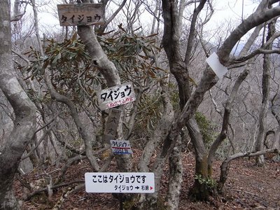 タイジョウの山頂　2010年4月