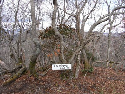 タイジョウの山頂　2012年11月