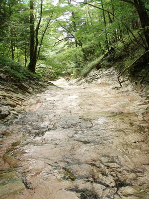 上流のナメ床　水の少ないのが残念!!