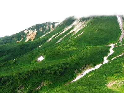 振り返れば.JPG (116.9 KiB) 閲覧された回数 11134 回 ● 北面台地たんぽぽチャマの遊び場だな、平瀬道から横っ飛びでこられる感じしますね