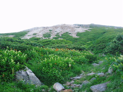 ● 花が迎えてくれる千蛇池への道