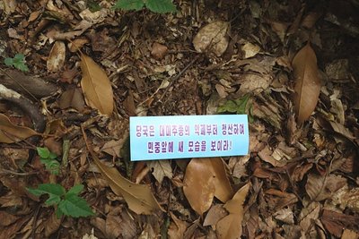 DSC03242 .jpg (200.63 KiB) 閲覧された回数 5807 回 ハングル文字の新しい紙切れ