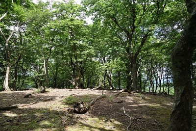 DSC03253.jpg (362.57 KiB) 閲覧された回数 5805 回 小栗の山頂広場