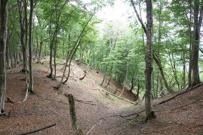 DSC03254.jpg (333.92 KiB) 閲覧された回数 5807 回 美しい曲線を描く地形