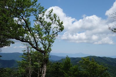DSC03262.jpg (217.34 KiB) 閲覧された回数 5805 回 桜谷山山頂から伊吹山