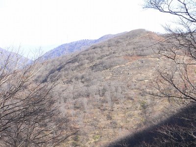 右寄り中央が割谷の頭から見た「湯の花谷の頭の荒地」（2016年12月）