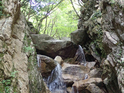 P6100032.jpg (112.2 KiB) 閲覧された回数 6028 回 ハイハイの岩