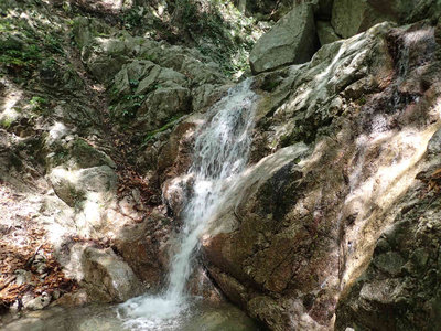 P6100022.jpg (118.18 KiB) 閲覧された回数 6321 回 シャワーの滝だったかな?