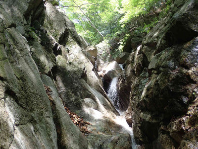 P6100020.jpg (110.61 KiB) 閲覧された回数 6028 回 ゴルジュ内のCS滝