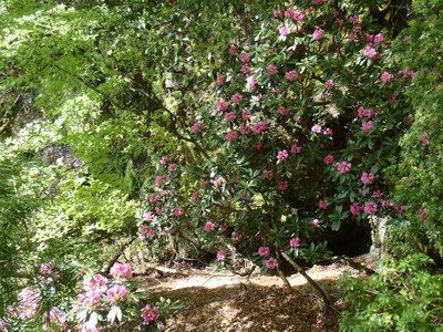 左から水音が聞こえてきます。