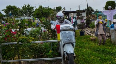 遂にトランプ参上