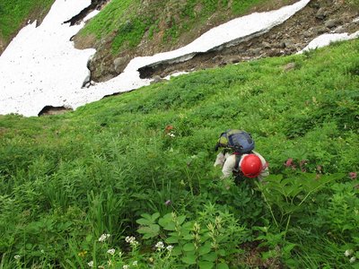 サルかクマか、いやアタマが赤いぞ！
