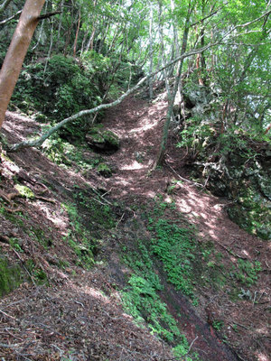 あやまんジェットコースター