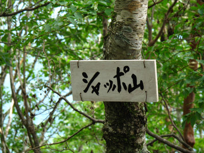 シャッポ山１