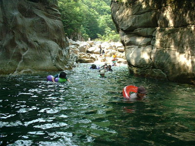 ● ツメカリたに下流淵を泳ぐ