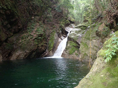 P7090055.jpg (91.41 KiB) 閲覧された回数 4149 回 白糸の滝