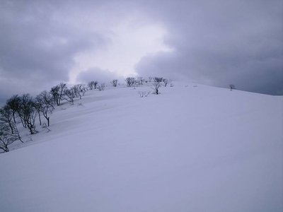 金糞岳直下から