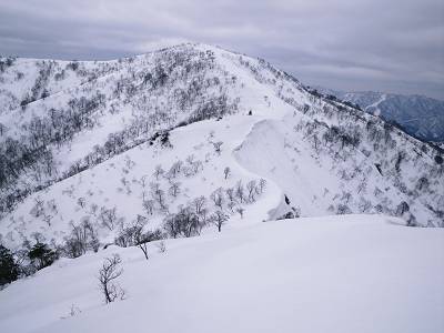 白倉岳北東端から金糞岳