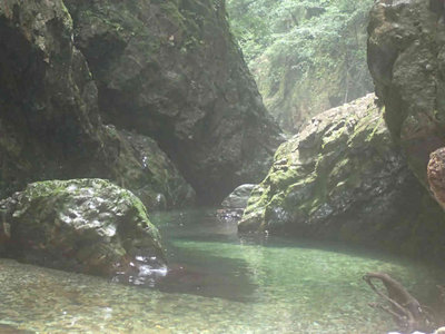 P7300149.jpg (56.61 KiB) 閲覧された回数 7286 回 素晴らしい渓谷美