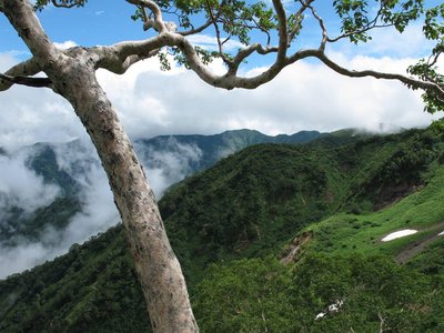 ああ、南白山が見える　　　　　右下はたんぽぽ平