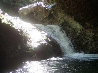 水中にスタンスがあるんですよ