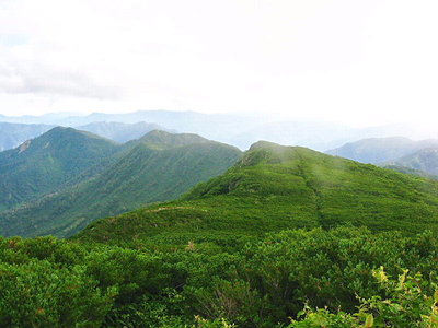 北阿弥陀ケ平.JPG (98.76 KiB) 閲覧された回数 10326 回 ● 北弥陀ヶ原はスグそこだよ、また来ればいいことだよ好い人とね残しておくのサ<br />地獄覗き、間名古の頭、この尾根姿が見たかったんだよな