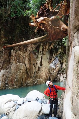 17.jpg (287.12 KiB) 閲覧された回数 4621 回 新たな橋?